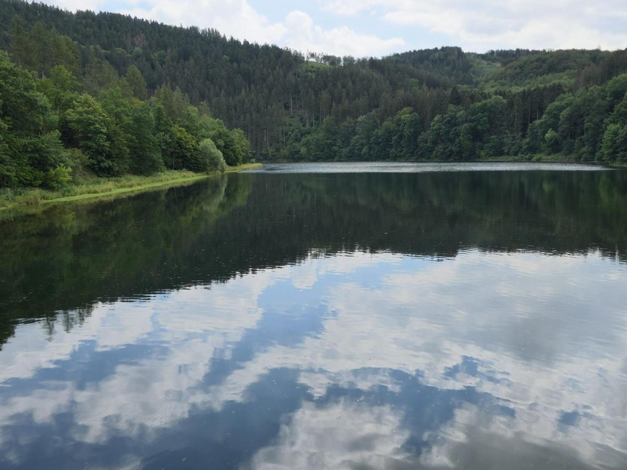 Fewo-Rosenberger-Sauerland Lennestadt Exterior foto